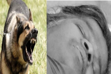 நாய்க்கடிக்கு உரிய சிகிச்சை எடுக்காமல் அலட்சியம் - பெண்ணுக்கு நேர்ந்த சோகம்