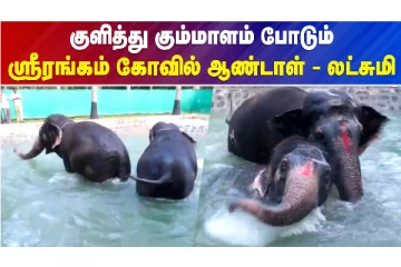 குளித்து கும்மாளம் போடும் ஸ்ரீரங்கம் கோவில் ஆண்டாள் - லட்சுமி