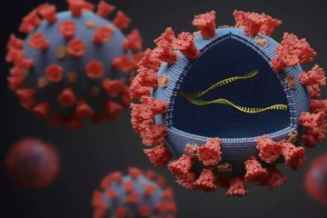 பிரிட்டனில் கண்டறியப்பட்ட புதுவகை  கொரோனா