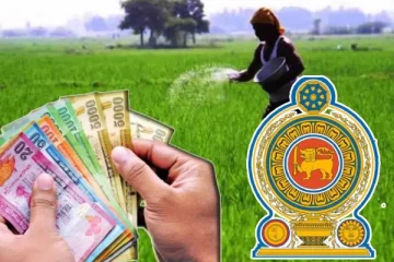 விவசாயிகளுக்கு மகிழ்ச்சி தகவல்: உரங்களின் விலை குறைப்பு