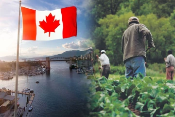 கனடாவில் தற்காலிக வெளிநாட்டு தொழிலாளர் தொடர்பான அரசாங்கத்தின் புதிய சீர்த்திருத்தங்கள்