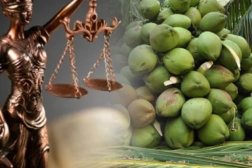 පොල් ගෙඩි 20 ක් සොරකම් කළ පුද්ගලයෙකුට බරපතල වැඩ සහිතව වසරක සිරදඬුවම්