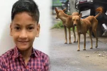 தெருநாய் தாக்குதலில் பரிதாபமாக உயிரிழந்த 11 வயது சிறுவன்!