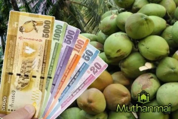 அரசாங்கத்திடம் உள்ள உரமானியங்களின் கையிருப்பு : வெளியான மகிழ்ச்சி தகவல்