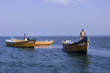 மேலும் 15 தமிழக மீனவர்கள் கைது