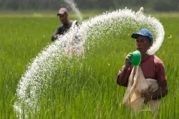 இரசாயன உரம் இல்லை -விவசாயிகள் எடுத்த அதிரடி முடிவு
