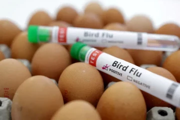 பறவைக்காய்ச்சலுக்கு முதல் நபர் பலி: விடை தெரியாத கேள்விகள்