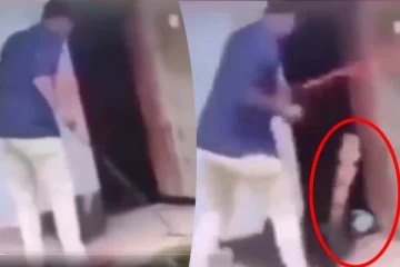 சீறி எழுந்த ராஜ நாகம்... மயிரிழையில் உயிர் தப்பிய நபரின் திக் திக் காட்சி