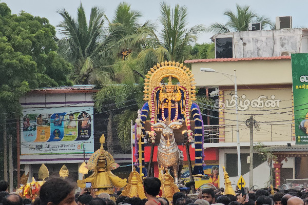 நல்லூரான் உட்பட வடக்கு ஆலயங்களில் இடம்பெற்ற சூரசம்ஹார நிகழ்வுகள் (Photos) | Surasamhara Event Of Nallur Gandhaswamy Temple
