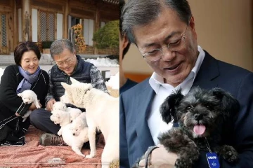 இனி நாடு முழுவதும் இந்த உணவுக்கு தடை: பாரம்பரிய நடைமுறைக்கு முற்றுப்புள்ளி வைத்த தென் கொரியா