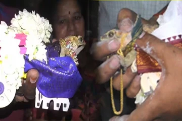 விருந்து வைத்து தடல் புடலாக நடந்த தவளை திருமணம் -எதுக்கு தெரியுமா?