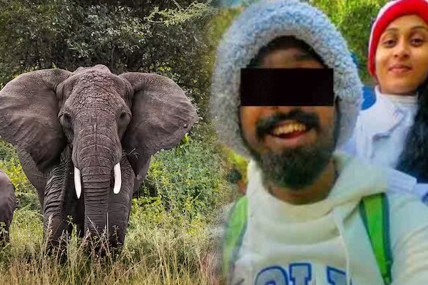 காட்டு யானைத் தாக்கியதில் உயிரிழந்த யுவதி; காதலனுக்கு நீதிமன்றம் வழங்கிய தீர்ப்பு | Lover Of The Young Woman Died After Being Attacked
