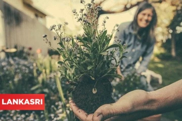 இனி இதையும் பிரித்தானியாவிலிருந்து பிரான்சுக்குள் கொண்டுவரக்கூடாது... பிரெக்சிட் கட்டுப்பாட்டால் பிரித்தானியர்கள் கவலை