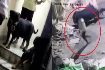 புள்ள தலையை முடியோடு பிய்த்து தனியே எடுத்த நாய்கள்; உயிருக்கு போராடும் மகள் - தந்தை வேதனை!