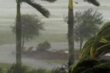 ෆ්‍රෙඩී නිසා සුසාන භූමියක සිරුරු හැම තැනම යයි - මහජන සෞඛ්‍යයටත් තර්ජනයක්..