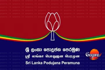 පොහොට්ටුවේ ලොක්කෝ දෙන්නෙක්ටත් වැඩ වරදී - හේතුව මෙන්න