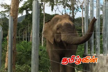 திருகோணமலையில் யானை மின்வேலிக்கு மக்கள் எதிர்ப்பு