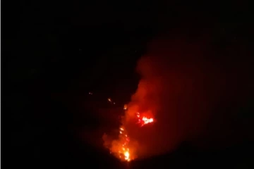 திடீரென இரவுவேளை பற்றியெரிந்த வனப் பகுதி!