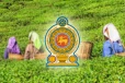 உயர்த்தப்பட்ட 1700 சம்பளம்: அரசாங்கம் எடுத்துள்ள தீர்மானம்