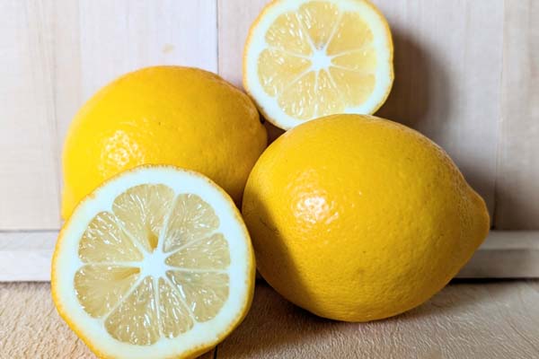 எலுமிச்சை பழம் ஒரு மாதம் வரை காயாமல் இருக்க வேண்டுமா? இதை மட்டும் செய்தால் போதும் | Lemons Fresh For Months This Method Follow எலுமிச்சை பழம் ஒரு மாதம் வரை காயாமல் இருக்க வேண்டுமா? இதை மட்டும் செய்தால் போதும் | Lemons Fresh For Months This Method Follow