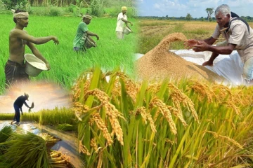 இலங்கையிலுள்ள விவசாயிகளுக்கான அறிவித்தல் - 15000ரூபா வைப்பிலிடப்பட்டுள்ளது