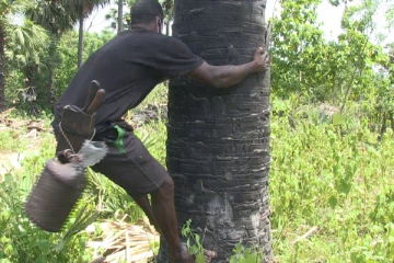 முடங்கியுள்ள நாடு! பாதிக்கப்படும் சீவல் தொழிலாளர்கள்