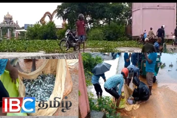 வவுனியா குளத்தின் வான் பாயும் இடத்தில் குவியும் மீன்கள் : போட்டி போட்டு பிடிக்கும் மக்கள்