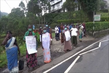 பல்வேறு கோரிக்கைகளுக்கு தீர்வுக்கோரி கரோலினா தோட்ட மக்கள் ஆர்ப்பாட்டம்