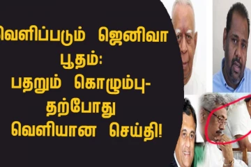 வெளிப்படும் ஜெனிவா பூதம்