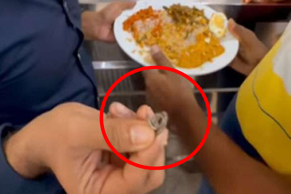 கொழும்பு பிரபல உணவகம் ஒன்றின் சாப்பாட்டில் பாம்பின் தலை; காணொளியால் சர்ச்சை! | Snake Head In Food At Restaurant In Colombo