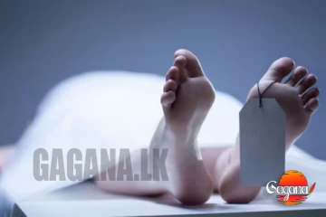 ප්‍රබල ටික්ටෝක් Tik Tok තරුවක් මිය යයි [PHOTO]