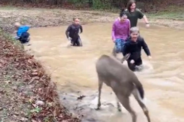 குழந்தைகளுடன் குழந்தையாக மாறிய மான்... அவதானித்திடாத அரிய காட்சி