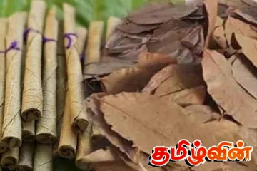இலங்கைக்கான கடத்தலை முறியடித்த தூத்துக்குடி பொலிஸார்