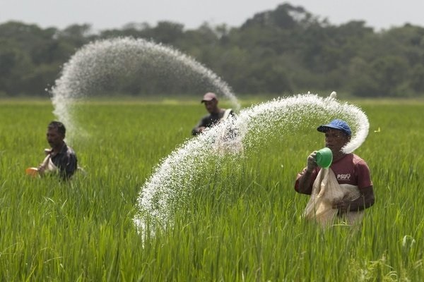 விவசாயிகளுக்கு மற்றுமொரு மகிழ்ச்சி தகவல் | Another Good News For Farmers