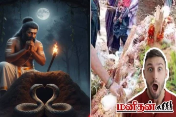 பாம்பு புற்றில் பால் ஊற்றுவதற்கு இது தான் காரணமா?