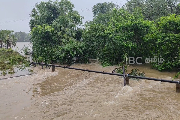 வவுனியாவில் 114 குளங்கள் உடைப்பெடுப்பு | 114 Ponds Demolished In Vavuniya