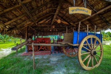 தமிழர் பகுதியில் வியக்க வைக்கும் பலரின் திறமைகள்..! வாங்க பார்க்கலாம் (Video)