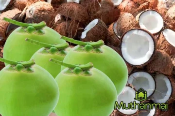 தேங்காய் விலையில் ஏற்பட்டுள்ள மாற்றம்