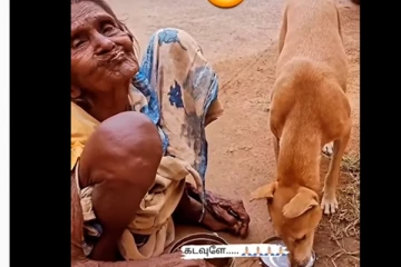 இந்த மனசுதான் சார்... கடவுள் ... - இந்த மூதாட்டி செய்த செயலைப் பாருங்க... - வைரலாகும் வீடியோ