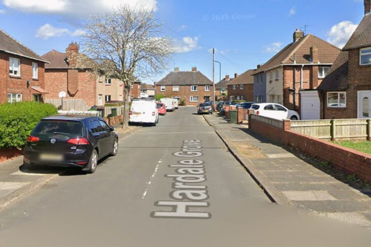 பிரித்தானியாவில் Redcar நாய் கடித்து சிறுவன் பலி; பொலிஸார் குவிப்பு | Boy Killed Redcar Dog Attack In Uk Police Deployed