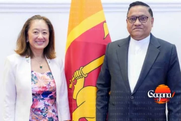 විදේශ ඇමති විජිත හේරත් ලොක්කෙකු හමුවෙයි