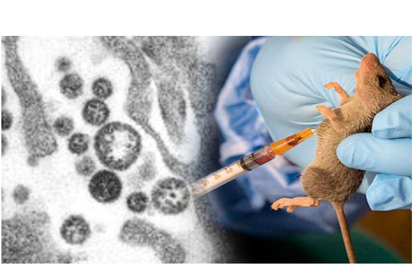 பிரிட்டனில் தீவிரமாக பரவும் \