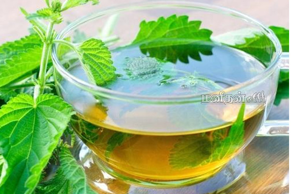 இந்த மூலிகை தேநீர்களை நீங்க குடிச்சா உங்களுக்கு ஒரு நோயும் வராதாம்! | Healthy Herbal Teas
