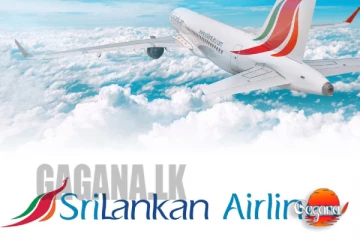 කටාර් සහ කූවේට්වලට ගිය ගුවන්යානා යළි කොළඹට