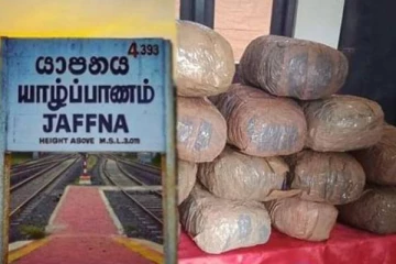 யாழில் 14 மில்லியன் ரூபாய் பெறுமதியான கஞ்சா மீட்பு