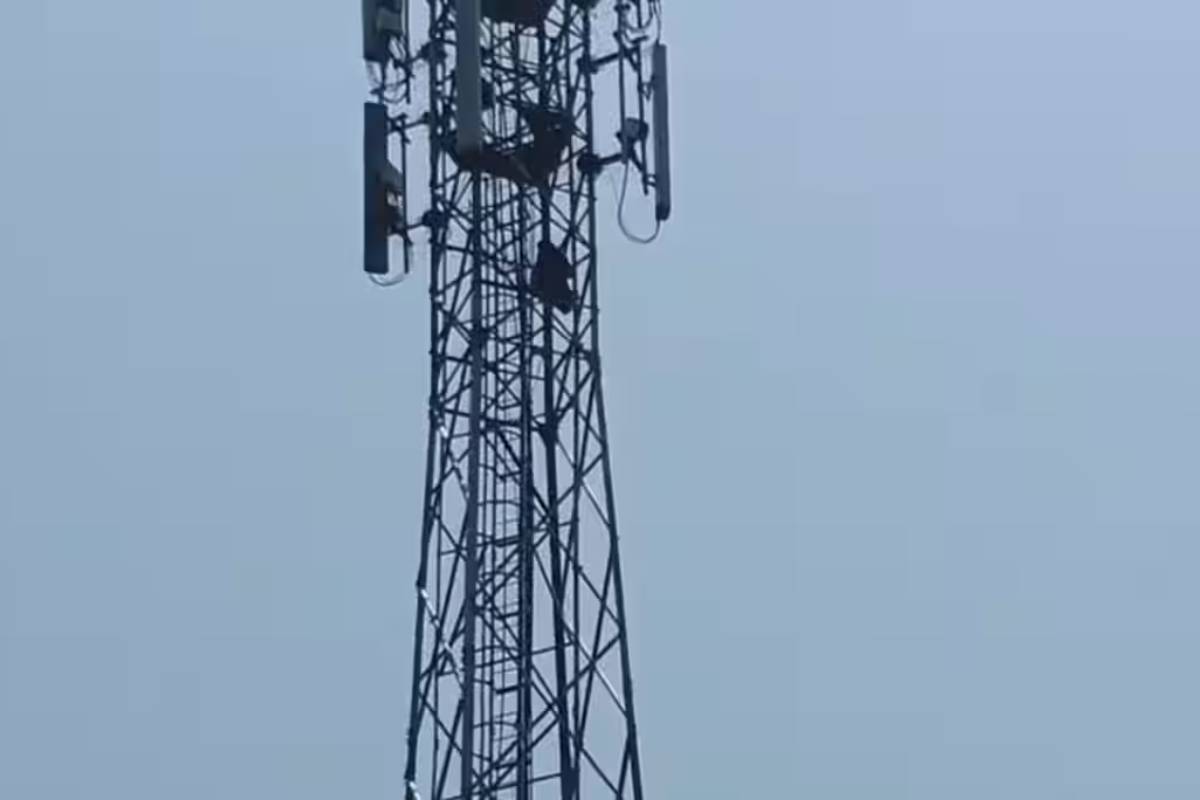 காதலனை விடுதலை செய்யக்கோரி மொபைல் டவரில் ஏறிய இளம்பெண்ணால் பரபரப்பு | Minor Girl Climb 100 Ft Tower For Release Lover காதலனை விடுதலை செய்யக்கோரி மொபைல் டவரில் ஏறிய இளம்பெண்ணால் பரபரப்பு | Minor Girl Climb 100 Ft Tower For Release Lover