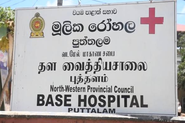 இலங்கையில் தோழியின் திருமண நிகழ்வில் கலந்துகொண்ட இளம் பெண் திடீரென உயிரிழப்பு! | Young Woman Attending Her Friend S Wedding Died