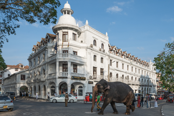விரைவில் தூங்கா நகரமாக மாற்றப்படவுள்ள கண்டி | Kandy Breeze Night Tourist Srilanka