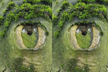 ஆழ்மன பயத்தை வெளிச்சம் போட்டு காட்ட ஒரு Test: இந்த படத்தில் தெரிவது என்ன?