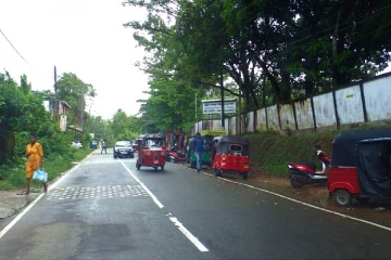 ලංකාවේ පාරවල් පාලුවට යයි - තෙල් ප්‍රශ්ණෙට බයේ ලාංකිකයන් ගෙවල් ඇතුළේ